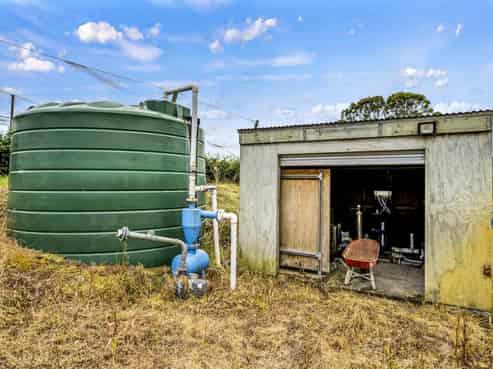 Kiwifruit - a growing opportunity