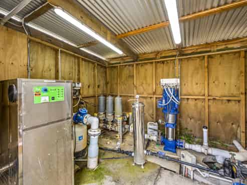 Kiwifruit - a growing opportunity