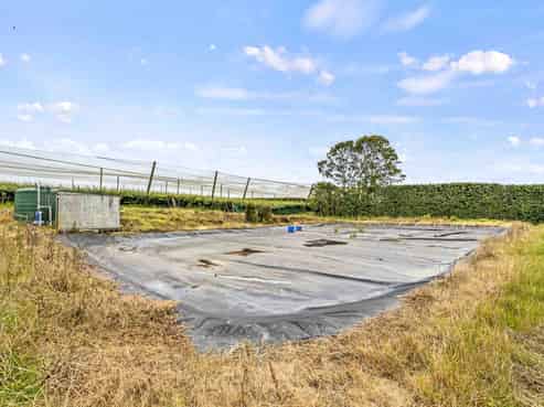 Kiwifruit - a growing opportunity
