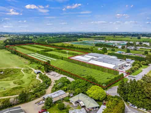 Golden opportunity in Takanini