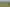 810 Gill Road, Kaitaia