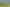 4.28 Ha Land - Asking 6.9m + GST (if any)