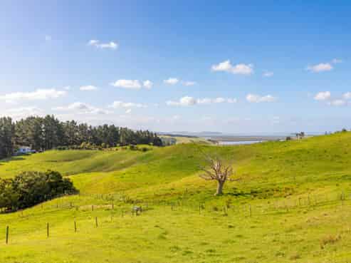 47 Witheford Road, Wellsford