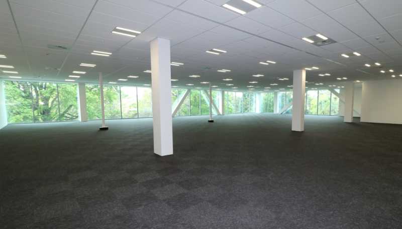 17 Grantham Street Central, Hamilton Central