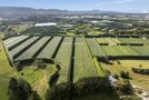 62 Elmwood Road, Aongatete, Western Bay Of Plenty, Bay of Plenty