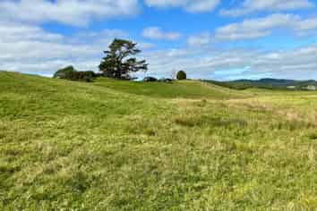 132B Gatfield Road, Kaukapakapa