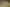 1906 Carrington Road, Koru