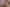 1906 Carrington Road, Koru