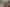 1906 Carrington Road, Koru
