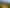 1906 Carrington Road, Koru