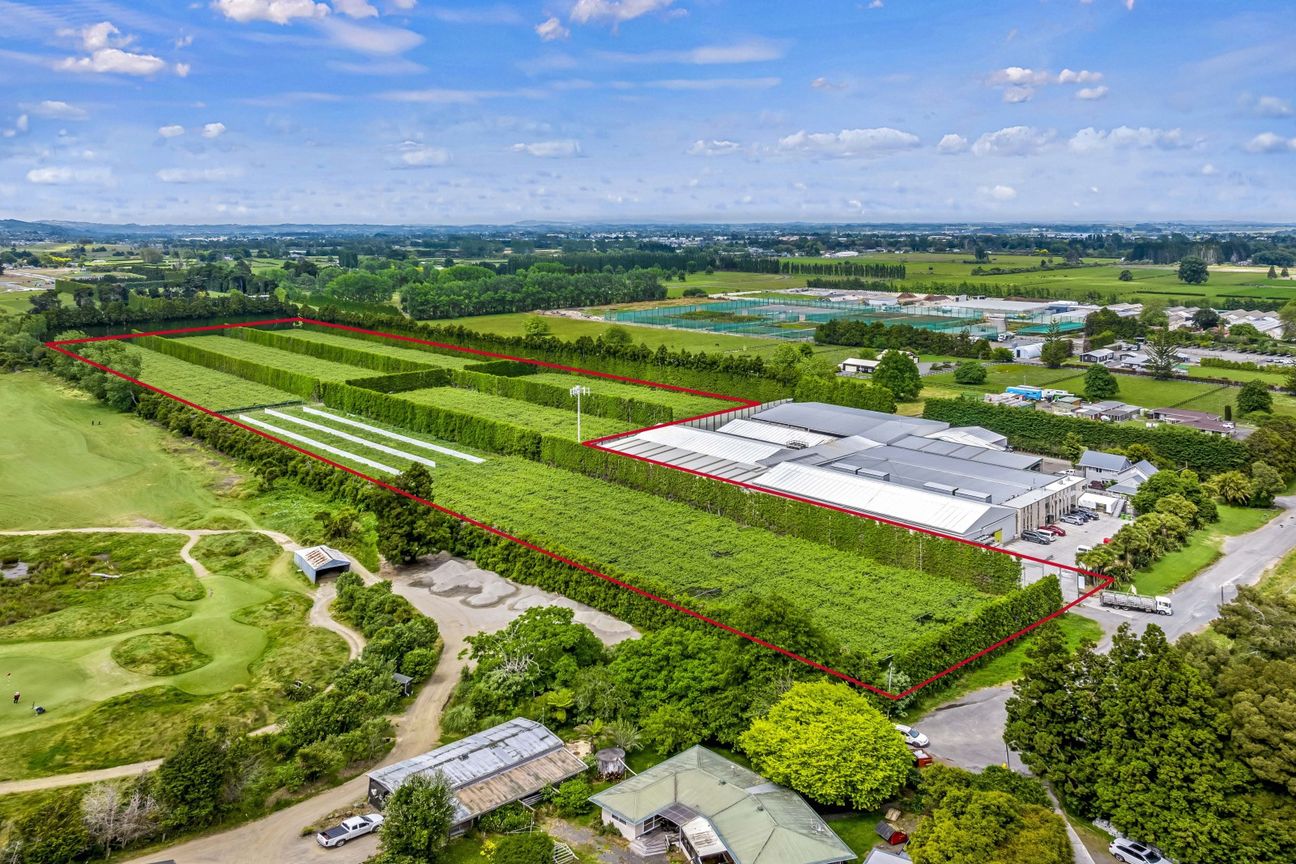 Golden opportunity in Takanini - Veduta 2