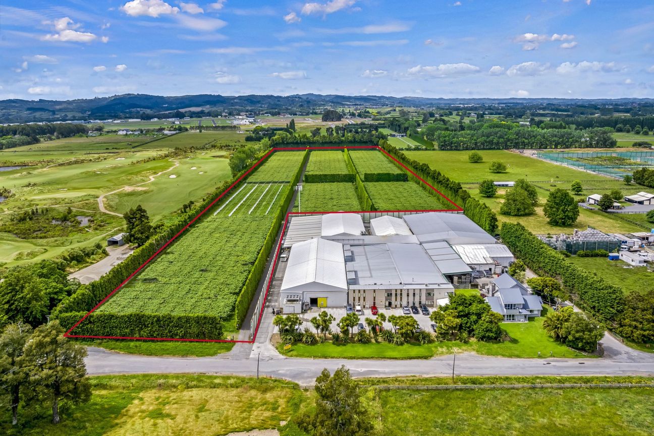 Golden opportunity in Takanini