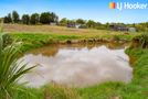 306D Oneriri Road, Kaiwaka, Kaipara, Northland