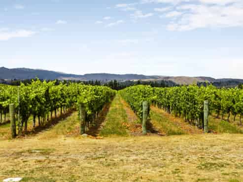 89 McPherson Road, Earnscleugh, Alexandra