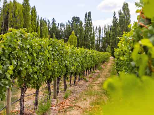 89 McPherson Road, Earnscleugh, Alexandra