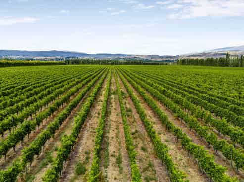 89 McPherson Road, Earnscleugh, Alexandra