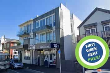 Apartment/294 Willis Street, Te Aro