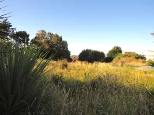 213 Bann Street, Bluff