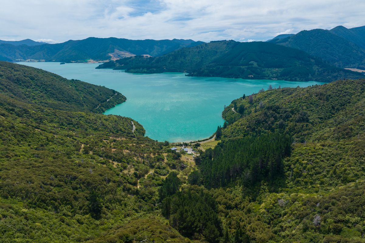 Seven Stunning Sections in Kenepuru Sound - Mehr