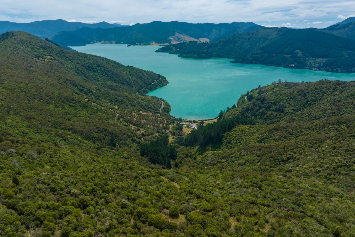 Seven Stunning Sections in Kenepuru Sound - Ansicht 5