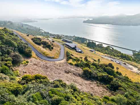 65 Kakapo Street, Saint Leonards