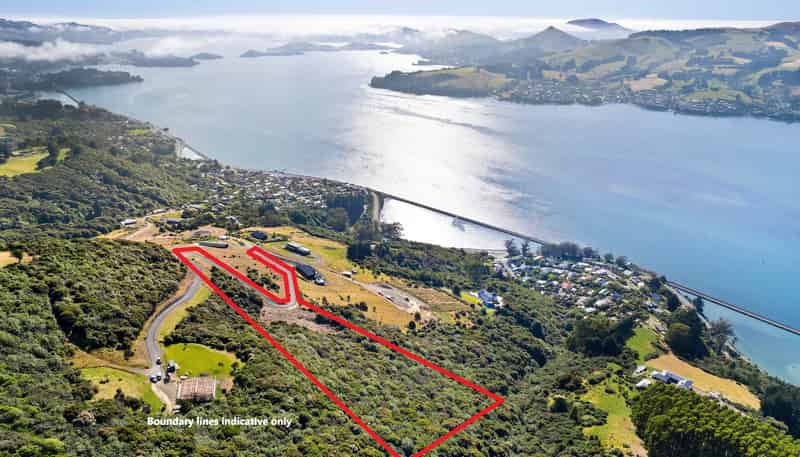 65 Kakapo Street, Saint Leonards