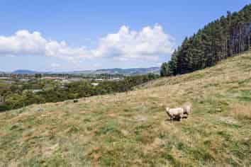 36A Orchard Road, Waihi