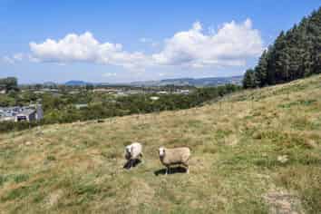 36A Orchard Road, Waihi
