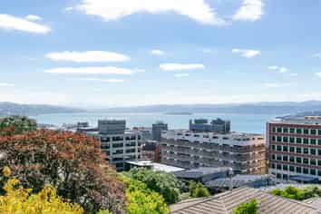 19A Central Terrace, Kelburn
