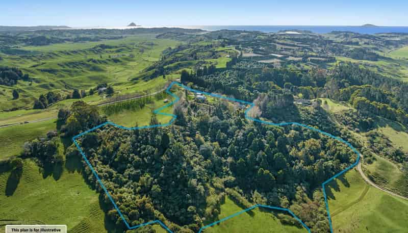 671B Paerata Ridge Road, Opotiki and Surrounds