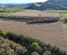 2813 Middle Road, Otane, Central Hawkes Bay, Hawkes Bay