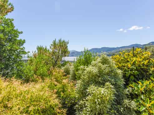 51 Beachville Crescent, Beachville