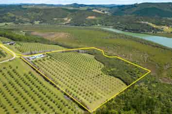 125A Frantoio Ridge Road, Mangonui