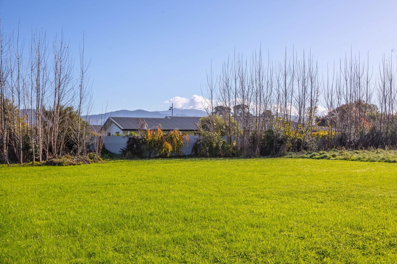 Location, View, Options! - Vista 4