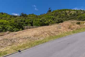 43 Wilson Way, Waikanae