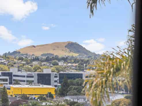 41B Konini Road, Greenlane