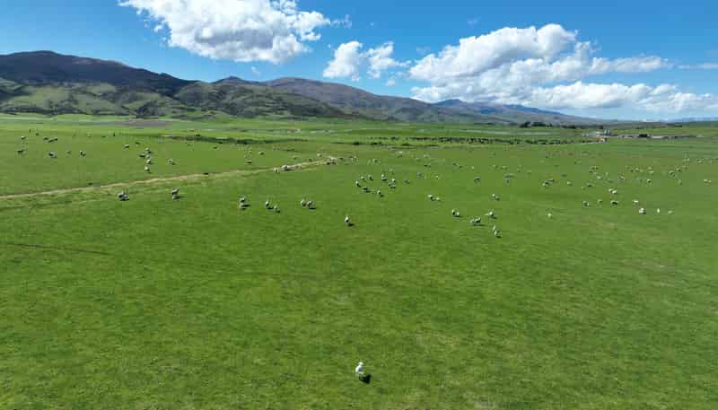  Wallington Road, Omakau
