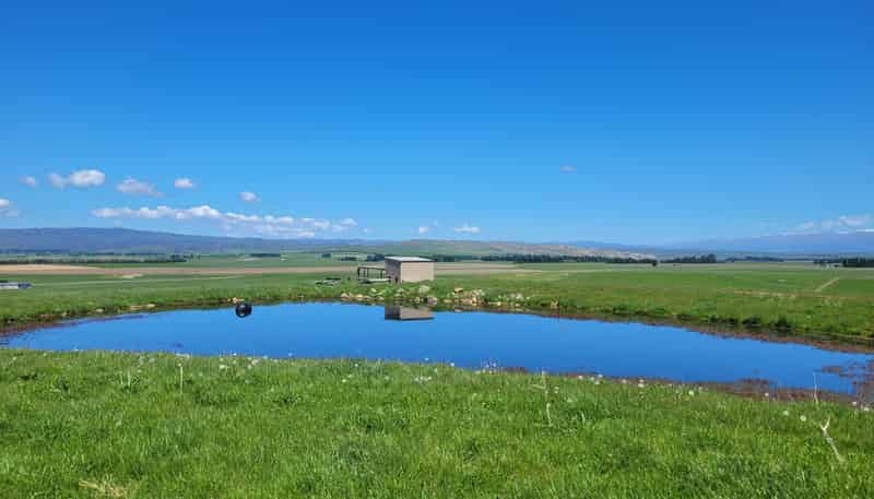  Wallington Road, Omakau