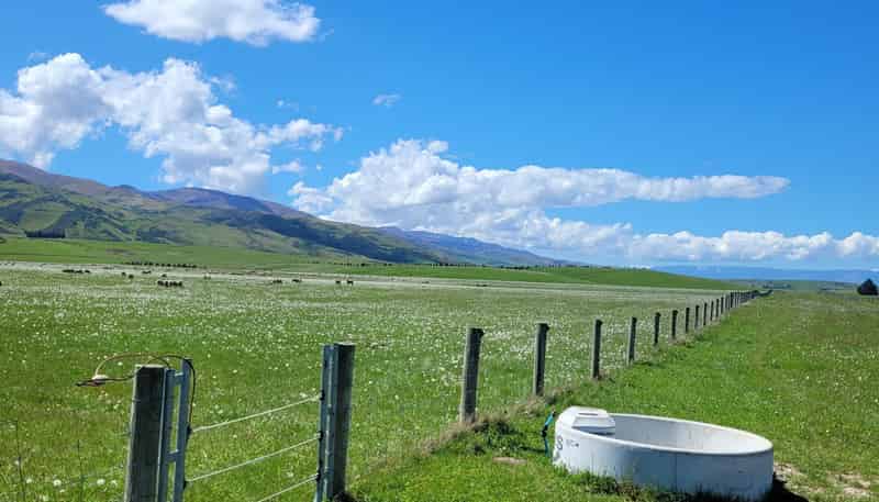  Wallington Road, Omakau