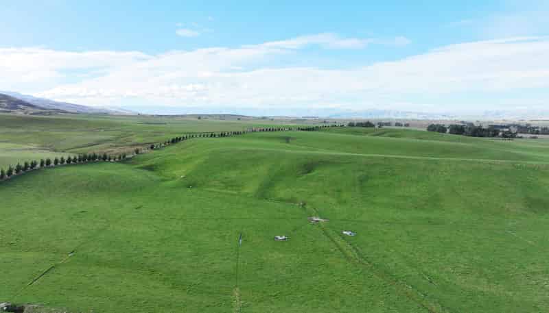  Wallington Road, Omakau