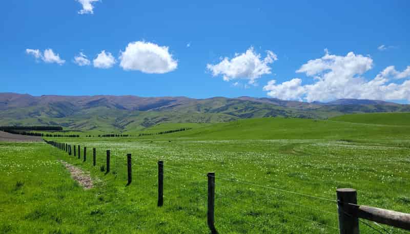  Wallington Road, Omakau