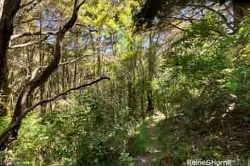 371 Longbush Road, Hinakura, Martinborough