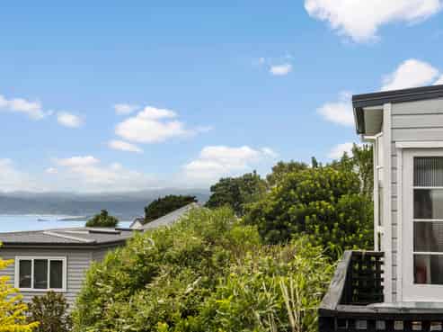94 Pitt Street, Wadestown