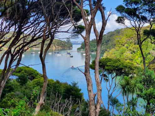 178 North Cove, Kawau Island