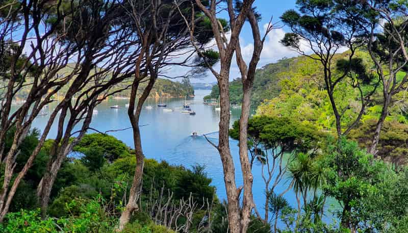 178 North Cove, Kawau Island