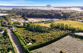 138 Te Puna Road, Te Puna