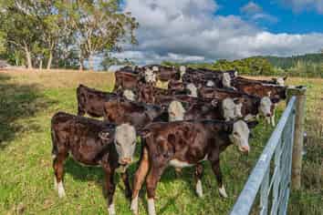 85-87 Old North Rd, Whakapara