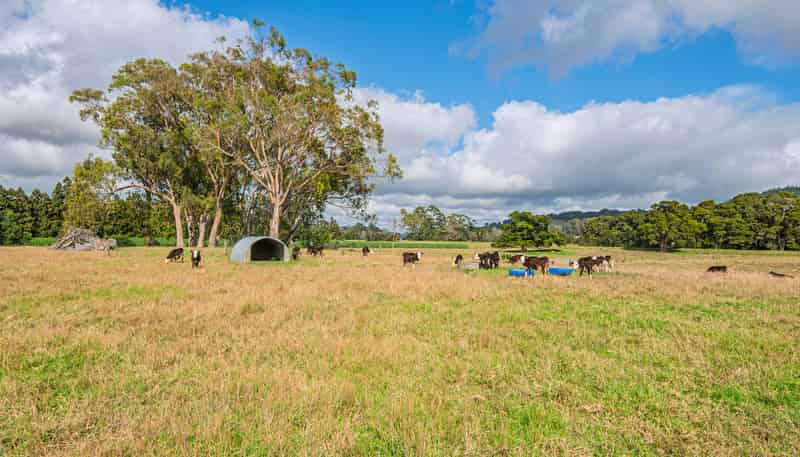 85-87 Old North Rd, Whakapara