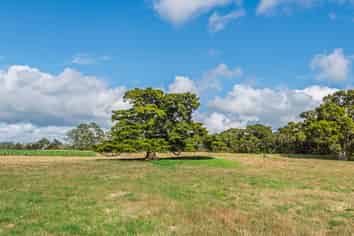 85-87 Old North Rd, Whakapara