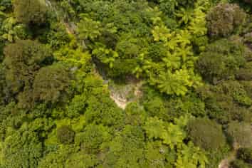 Lot 8 Tepuia Heights, Admiralty Bay